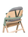 BN-LO-MEGAN_GREEN_WOOD,Scaun de masa multifunctional Megan, Lionelo, Din lemn de fag, 6 luni- adult, Reglabil pe inaltime, Husa 