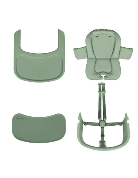 BN-LO-MEGAN_GREEN_WOOD,Scaun de masa multifunctional Megan, Lionelo, Din lemn de fag, 6 luni- adult, Reglabil pe inaltime, Husa 