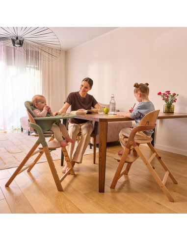 BN-LO-MEGAN_GREEN_WOOD,Scaun de masa multifunctional Megan, Lionelo, Din lemn de fag, 6 luni- adult, Reglabil pe inaltime, Husa 
