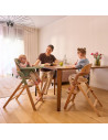 BN-LO-MEGAN_GREEN_WOOD,Scaun de masa multifunctional Megan, Lionelo, Din lemn de fag, 6 luni- adult, Reglabil pe inaltime, Husa 