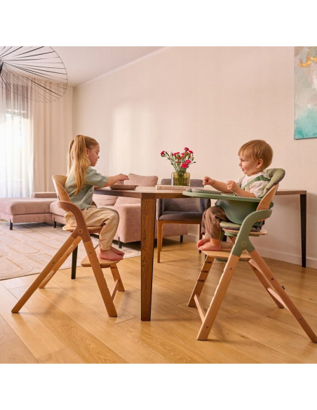 BN-LO-MEGAN_GREEN_WOOD,Scaun de masa multifunctional Megan, Lionelo, Din lemn de fag, 6 luni- adult, Reglabil pe inaltime, Husa 