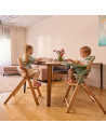 BN-LO-MEGAN_GREEN_WOOD,Scaun de masa multifunctional Megan, Lionelo, Din lemn de fag, 6 luni- adult, Reglabil pe inaltime, Husa 
