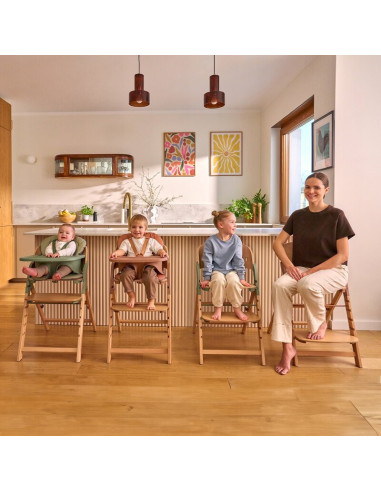 BN-LO-MEGAN_GREEN_WOOD,Scaun de masa multifunctional Megan, Lionelo, Din lemn de fag, 6 luni- adult, Reglabil pe inaltime, Husa 