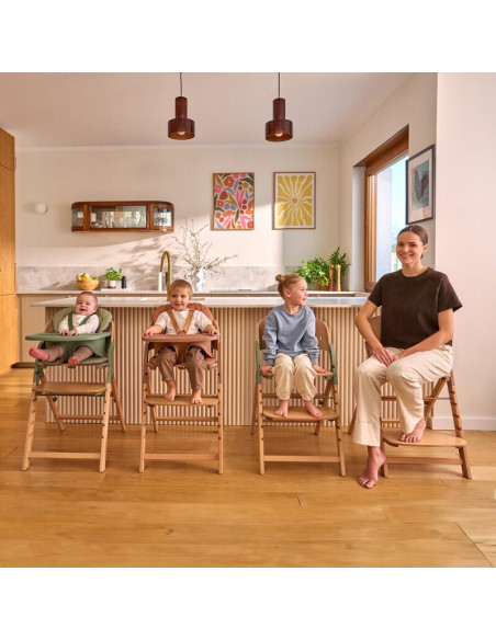 BN-LO-MEGAN_GREEN_WOOD,Scaun de masa multifunctional Megan, Lionelo, Din lemn de fag, 6 luni- adult, Reglabil pe inaltime, Husa 