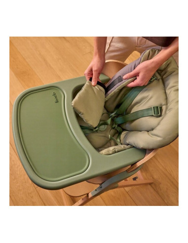 BN-LO-MEGAN_GREEN_WOOD,Scaun de masa multifunctional Megan, Lionelo, Din lemn de fag, 6 luni- adult, Reglabil pe inaltime, Husa 