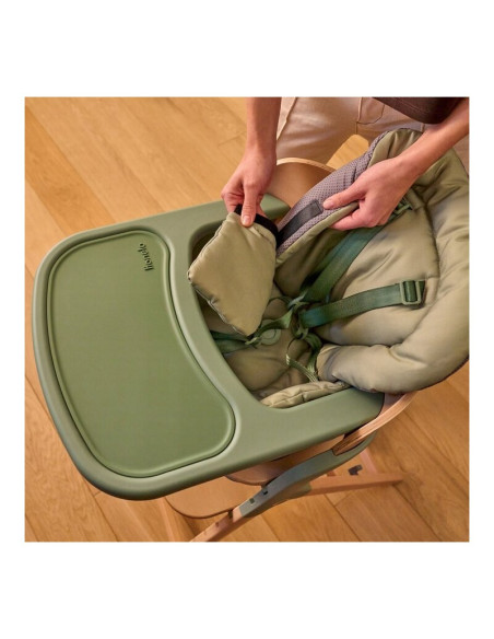 BN-LO-MEGAN_GREEN_WOOD,Scaun de masa multifunctional Megan, Lionelo, Din lemn de fag, 6 luni- adult, Reglabil pe inaltime, Husa 