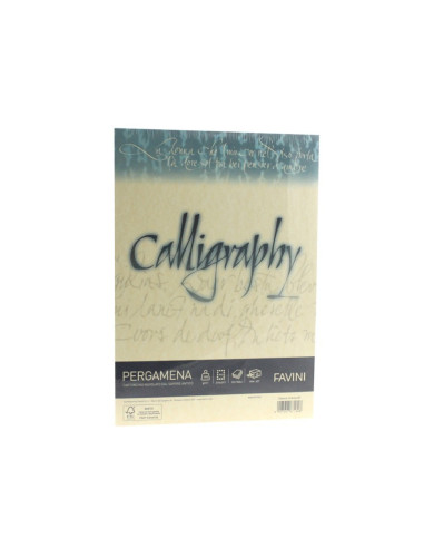 Hârtie caligrafie Pergamena A4 190...
