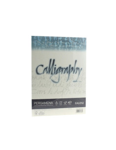 A69Q084,Hârtie caligrafie A4 Pergamena 190 g/mp Natur FAVINI