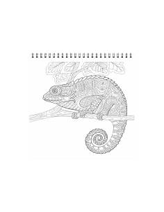 90138,Carte colorat 31x31 cm mandala Animale 2