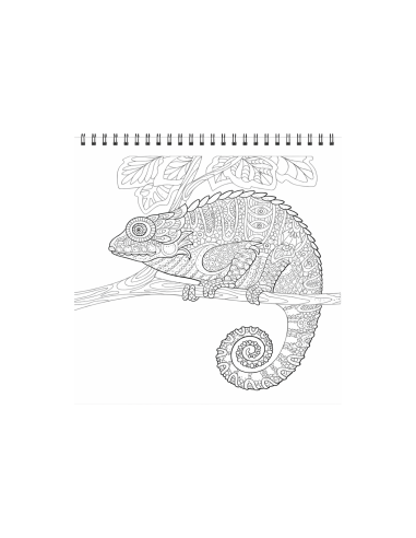 90138,Carte colorat 31x31 cm mandala Animale