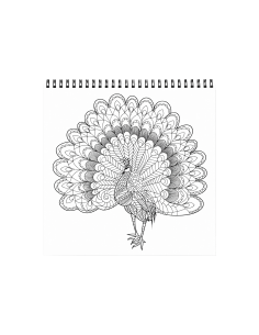 90213,Carte colorat 31x31 cm mandala Pasari 2