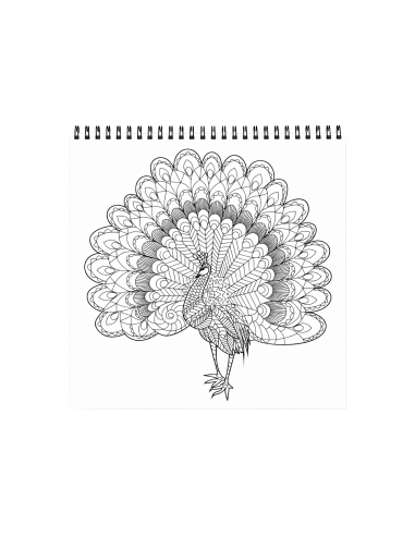 90213,Carte colorat 31x31 cm mandala Pasari