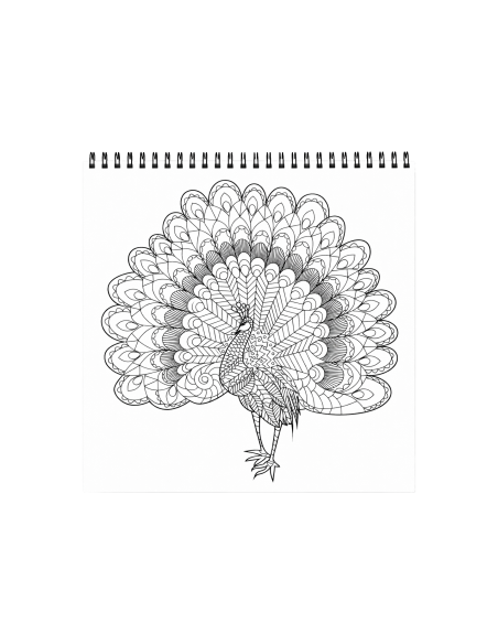 90213,Carte colorat 31x31 cm mandala Pasari