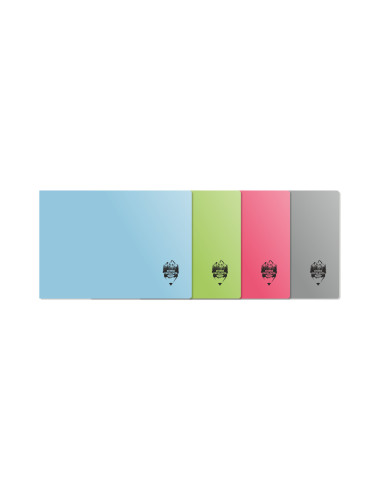 CT305-12,Caiet geografie 17x24 24 file coperta plastic DACO - Set 12