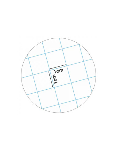 29524M-20,Caiet matematica incepatori A5 24 file ECADA - Set 20