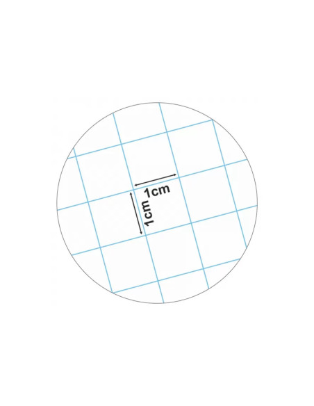 29524M-20,Caiet matematica incepatori A5 24 file ECADA - Set 20