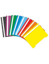 51001M-50,Dosar plastic cu sina Mov ECADA - Set 50