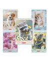 Set 10 caiete Tip 1 Herlitz 400211727, 36 file, 80 g/mp, Motive asortate