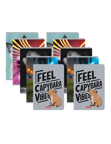 Set 10 caiete A5 Herlitz, 48 file, 70 g/mp, matematica, Motiv Megamix 3