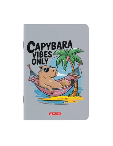 Set 10 caiete A5 Herlitz, 48 file, 70 g/mp, dictando, Motiv Megamix 3