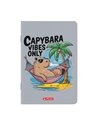 Set 10 caiete A5 Herlitz, 48 file, 70 g/mp, dictando, Motiv Megamix 3