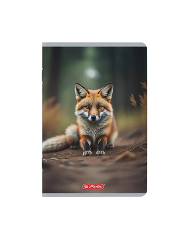 Set 10 caiete A5 Herlitz, 48 file, 70 g/mp, matematica, Motiv Megamix 2