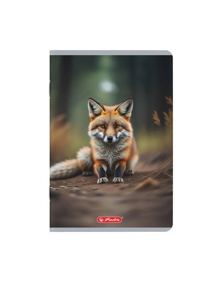 Set 10 caiete A5 Herlitz, 48 file, 70 g/mp, matematica, Motiv Megamix 2
