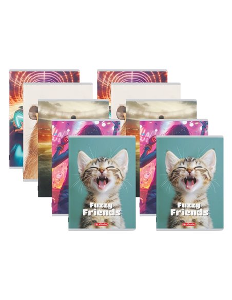 Set 10 caiete A5 Herlitz, 48 file, 70 g/mp, dictando, Motiv Megamix