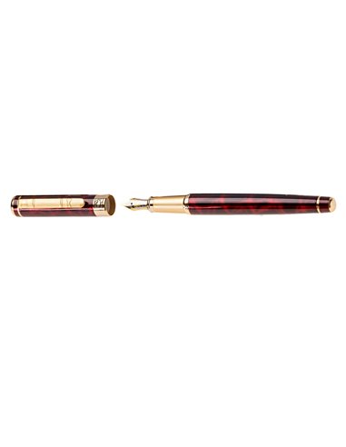 Set stilou + Calimara + etui PICASSO 9902R