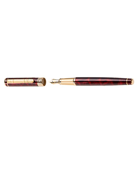 Set stilou + Calimara + etui PICASSO 9902R