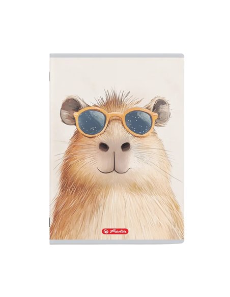 Set 10 caiete A5 Herlitz, 48 file, 70 g/mp, dictando, Motiv Megamix