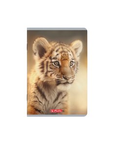 Set 10 caiete A5 Herlitz, 48 file, 70 g/mp, dictando, Motiv Megamix 2 2