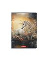 Set 10 caiete A5 Herlitz, 48 file, 70 g/mp, dictando, Motiv Megamix 2