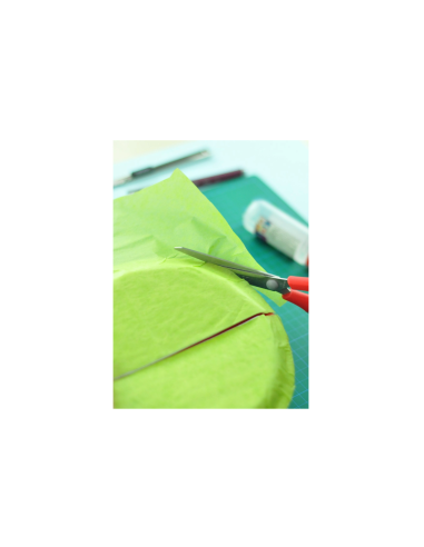 HR917,Hartie matase 10 culori DACO