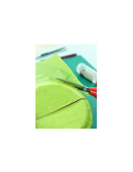HR917,Hartie matase 10 culori DACO