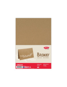 CN2210,Carton natur A4 220 g/mp 10 coli DACO