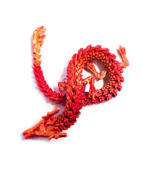 ZSZ-01,Ou cu dragon