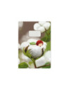 SD-CAI365-5,Caiet Aperta, Cotton soft, A5, 24 file, 90g, Tip 1 - Set 5
