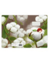SD-CAI365-5,Caiet Aperta, Cotton soft, A5, 24 file, 90g, Tip 1 - Set 5