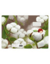 SD-CAI361-5,Caiet Aperta, Cotton soft, A5, 24 file, 90g, Tip 2 - Set 5