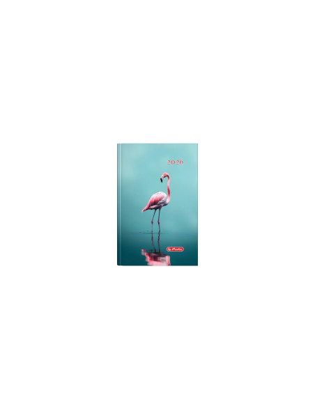 9497870,Agenda datata a5 352pag coperta buretata motiv flamingo 2026