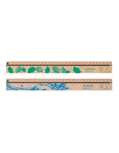 50033621-12,Rigla lemn 30cm greenline - Set 12