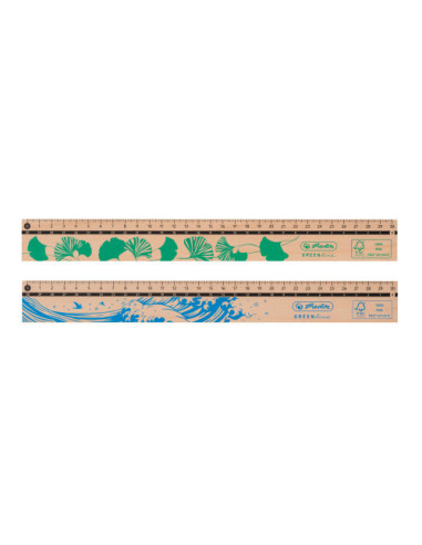 50033621-12,Rigla lemn 30cm greenline - Set 12