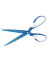 50046751,Foarfeca my.pen varf ascutit 18cm albastru/alb blister