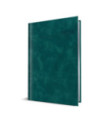 9495470,Agenda datata a5 352pag premium deluxe chia coperta piele sintetica verde petrol folio argintiu 2026
