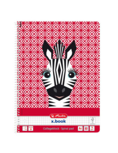 50039210-5,Caiet a4 80f spira patratele cute animals zebra - Set 5