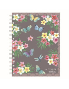 50044207-2,Caiet a5 100f spira patratele ladylike butterflies - Set 2