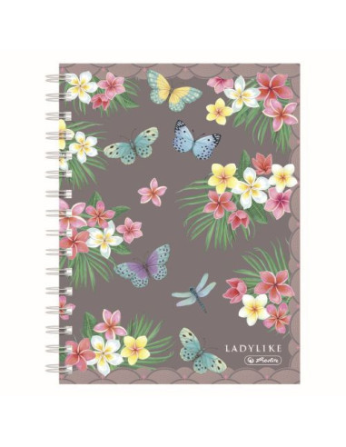 50044207-2,Caiet a5 100f spira patratele ladylike butterflies - Set 2