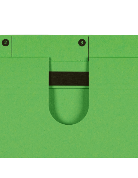 100552096-25,Dosar suspendat cu sina elba ultimate a4 200f 240g/mp blue angel verde - Set 25