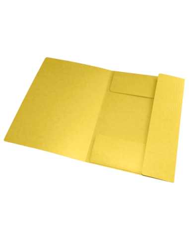 400116329-10,Dosar mapa oxford topfile a4 200f pefc galben - Set 10